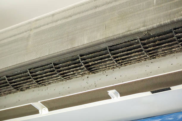 Best Best Air Duct Cleaning Company  in Bellevue, MI