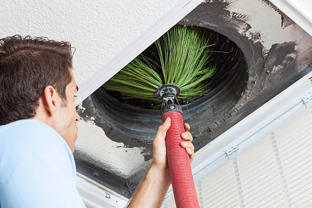 Best Duct Cleaning for Homes  in Bellevue, MI
