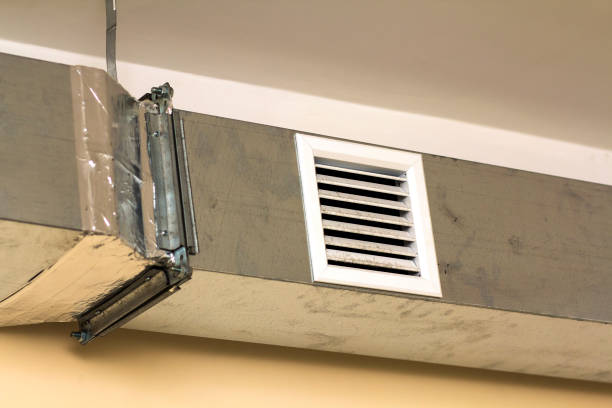 Best Ductwork Cleaning Services  in Bellevue, MI